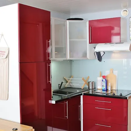 公寓 Pied De Pistes Avec Place De Parking Prive Exterieure Tourmalet - Pic Du Midi 拉姆吉